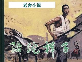 看片网站